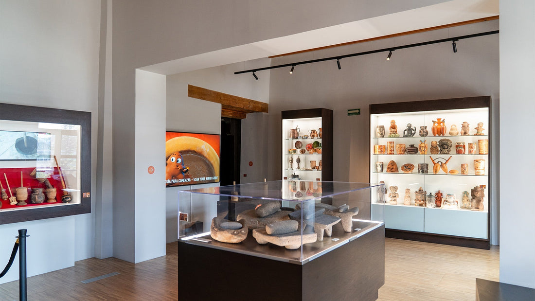 ¡En el Zócalo! Museo del Cacao y Chocolate revela la historia sagrada, secretos milenarios y poder transformador del fruto ancestral