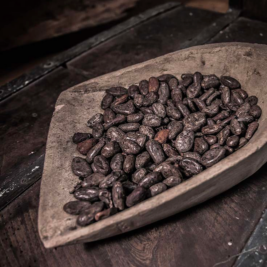 Museo del Cacao y Chocolate abre sus puertas en CDMX
