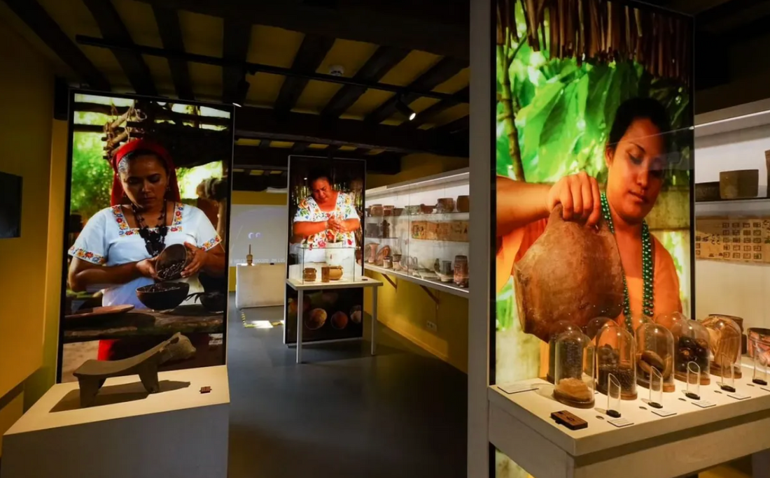¡Ya abrió el nuevo Museo del Cacao y Chocolate de la CDMX! Hay exposiciones, talleres y degustaciones
