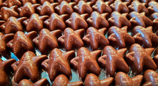 Choco-Story Zócalo, un museo del chocolate en la CDMX