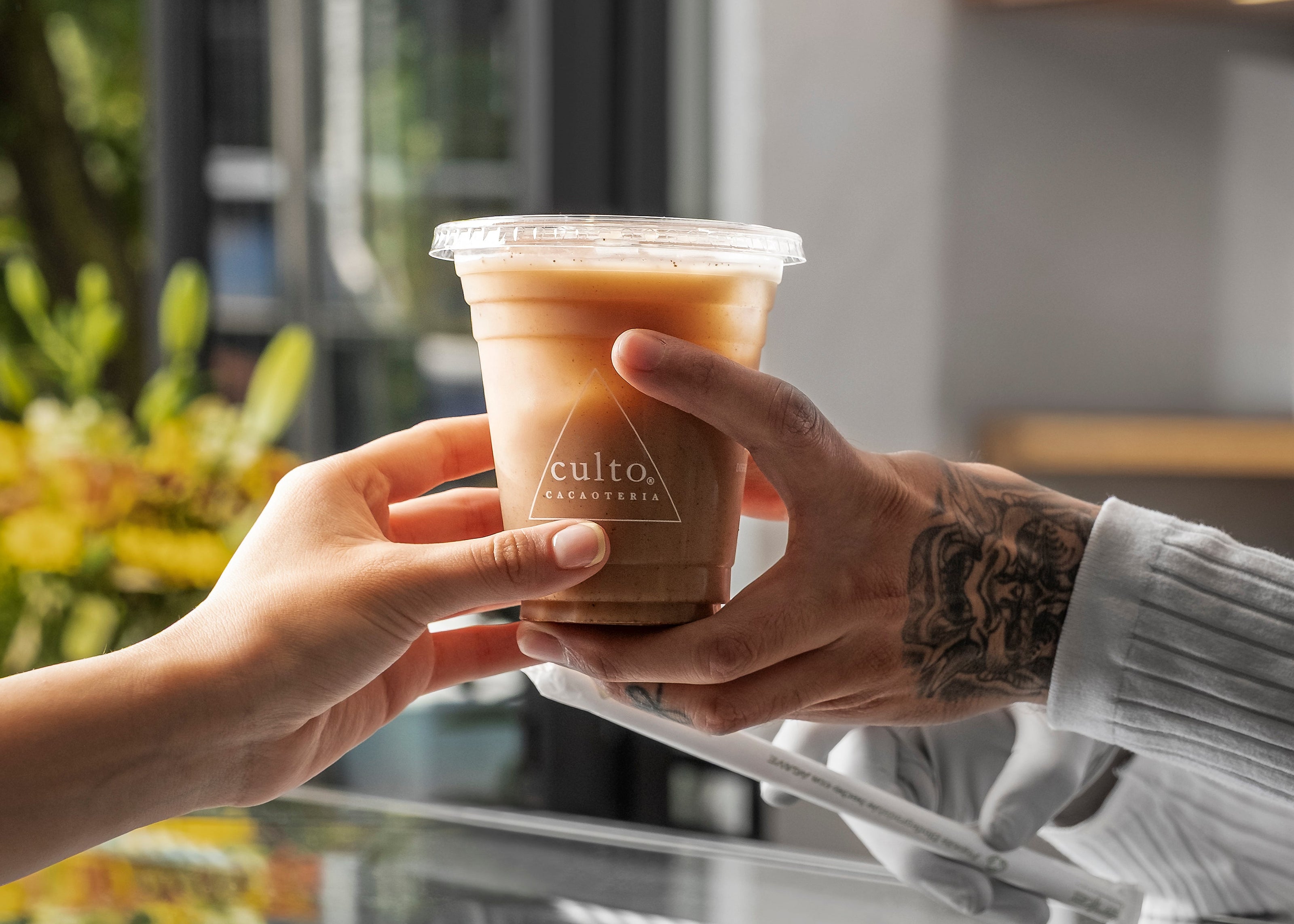 culto cacao cacaoteria