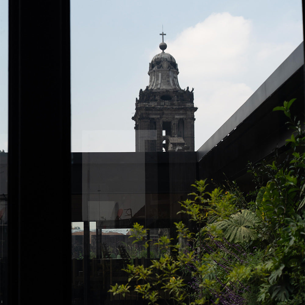 Catedral